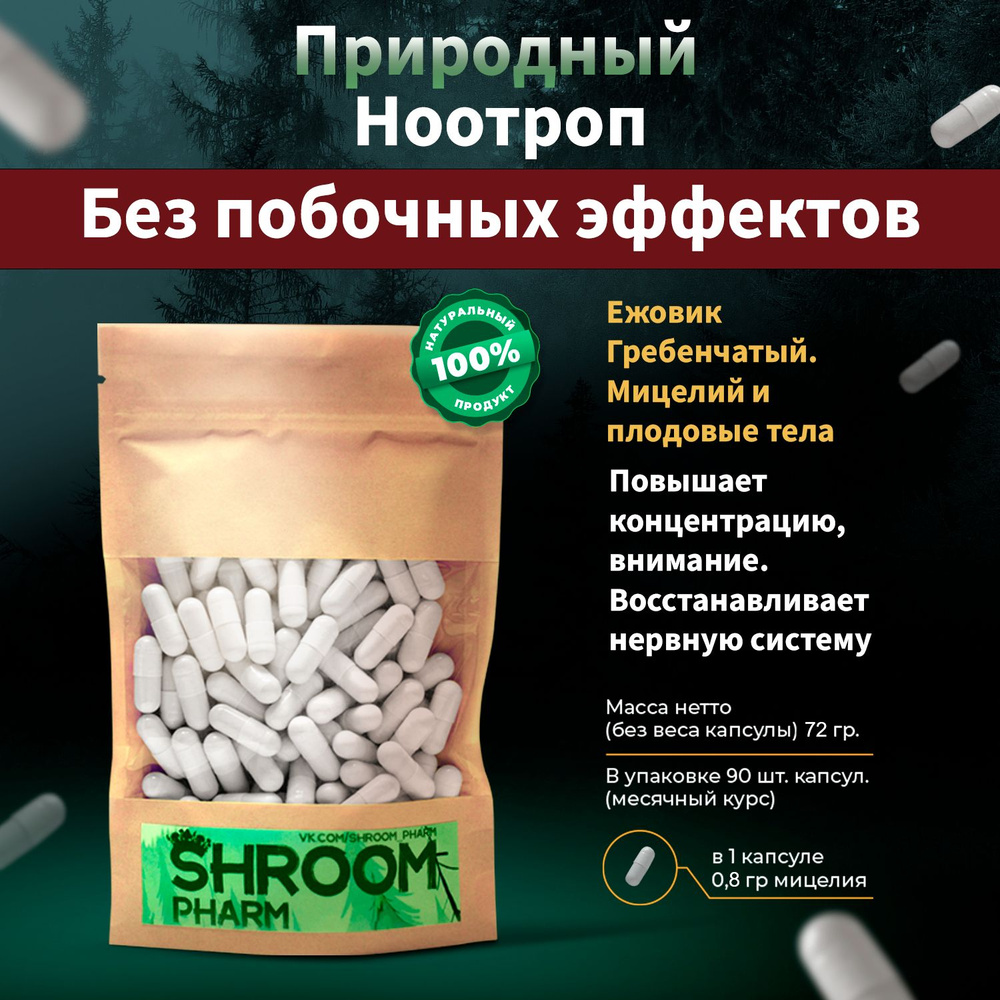Гриб Ежовик гребенчатый в капсулах 72 гр. /для микродозинга. Сушеный  мицелий гриба ежовика в порошке как антидепрессант / ноотроп - купить с  доставкой по выгодным ценам в интернет-магазине OZON (785177065)