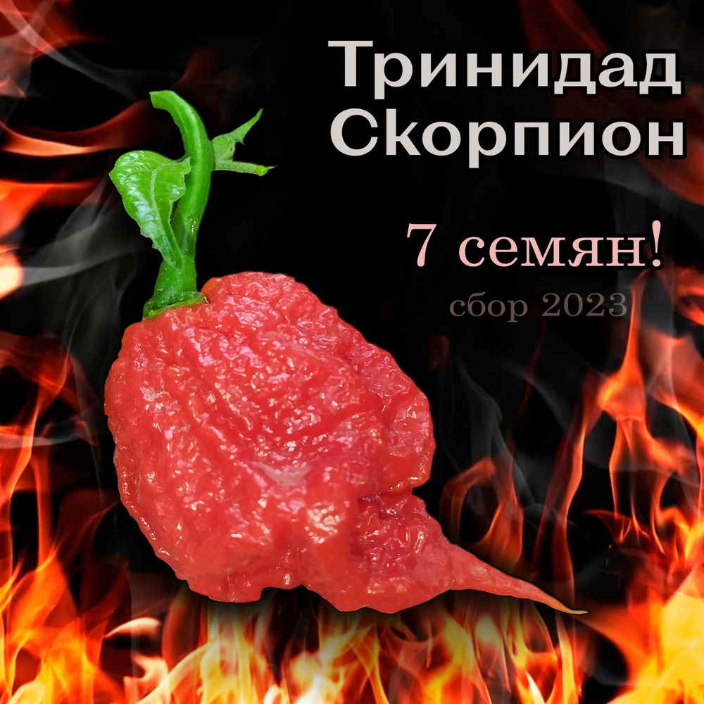 Перец острый Тринидад Скорпион Trinidad Scorpion семена 7 шт. +5 шт. другого сорта  #1