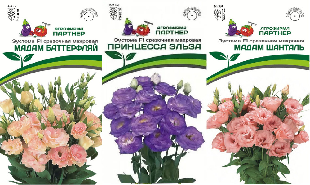 Агрофирма Партнер Эустома - купить по выгодным ценам в интернет ...
