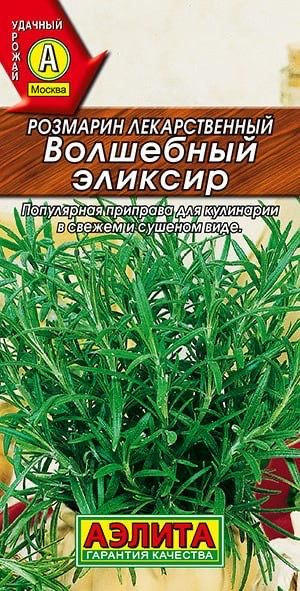 РОЗМАРИН ВОЛШЕБНЫЙ ЭЛИКСИР. Семена. Вес 20 шт. Ценится за чудесный аромат.  #1