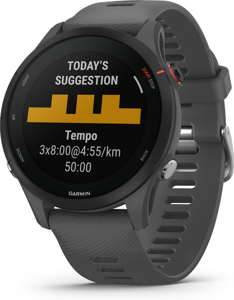 Garmin Умные часы Forerunner 255, 46mm, темно-серые #1