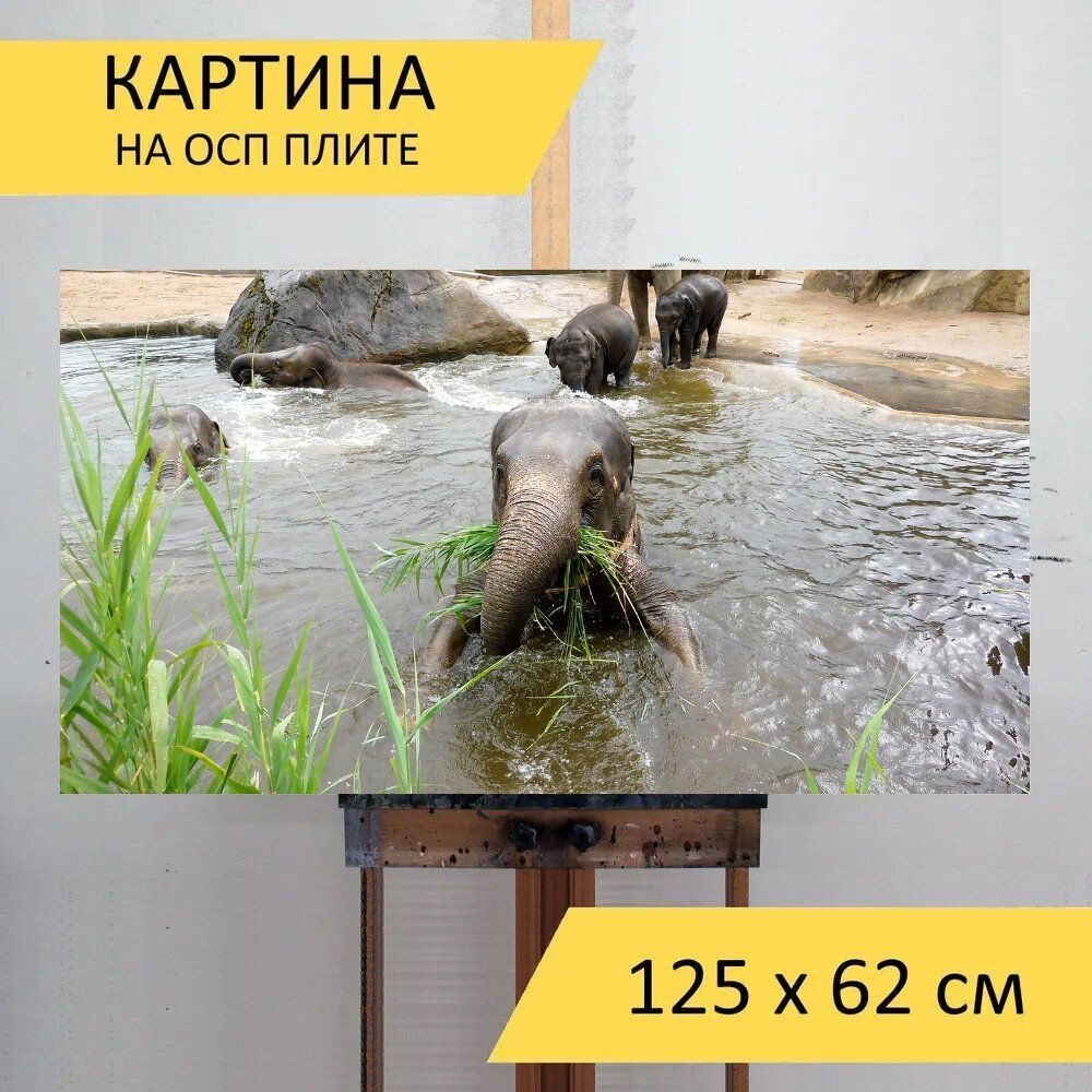 LotsPrints Картина "Слон, зоопарк, животные 56", 125  х 62 см #1
