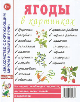 Демонстрационные учебно-наглядные пособия