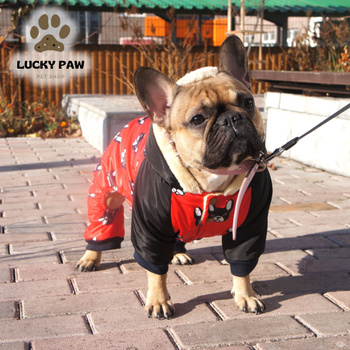 Бинты, бандажи, повязки для собак - купить в интернет-магазине sapsanmsk.ru