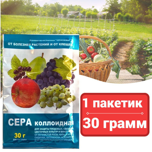 Сера коллоидная, 30г - купить с доставкой по выгодным ценам в интернет ...