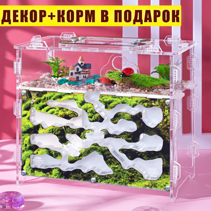 Муравьиная ферма \"Горный мох\" ВСЕ ВКЛЮЧЕНО ДЕКОР+КОРМ в ПОДАРОК ...