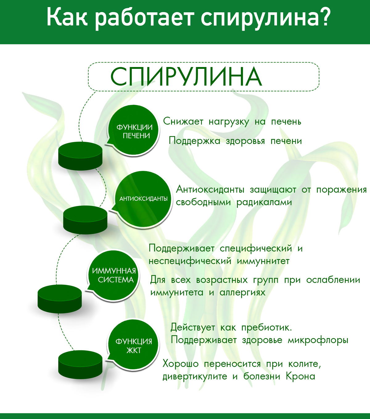 Текстовое описание изображения