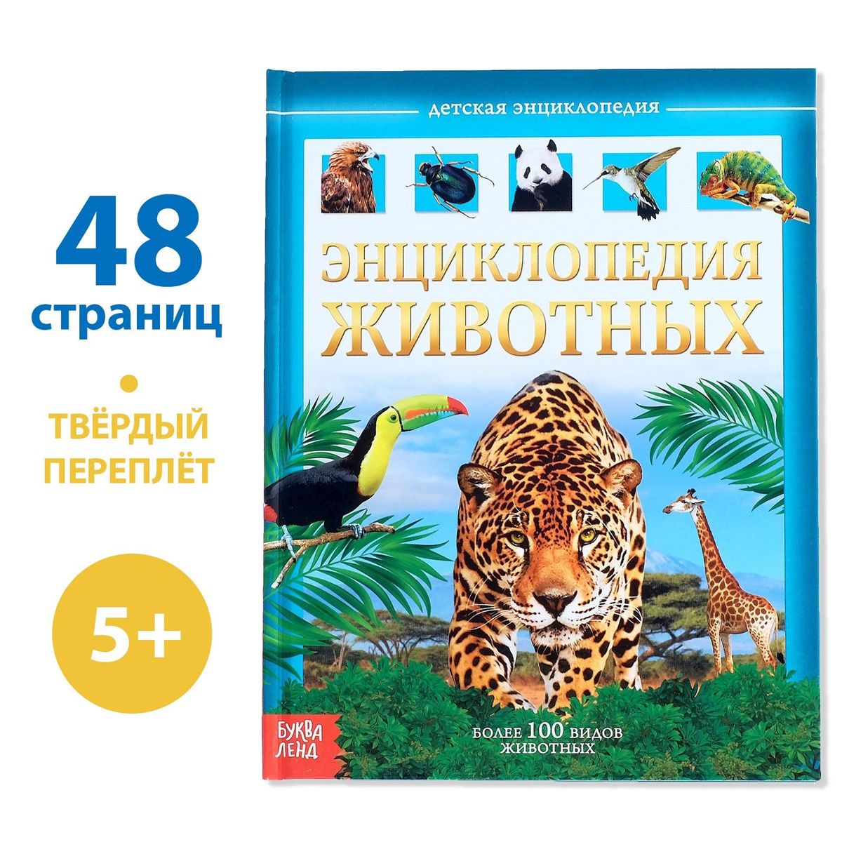 Текст при отключенной в браузере загрузке изображений