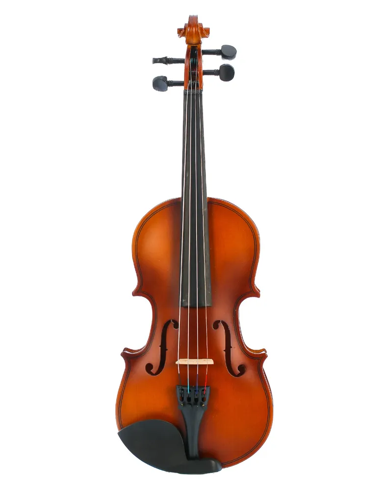 Скрипка 34" 1/2 Fabio SF34-015E (Комплект скрипка с футляром и смычком), вариант, фото 2