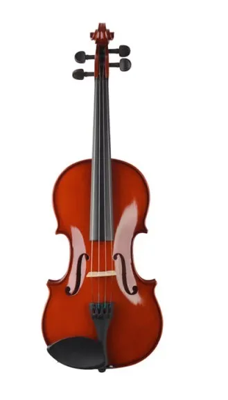 Prima P-100 4/4 Скрипка, вариант