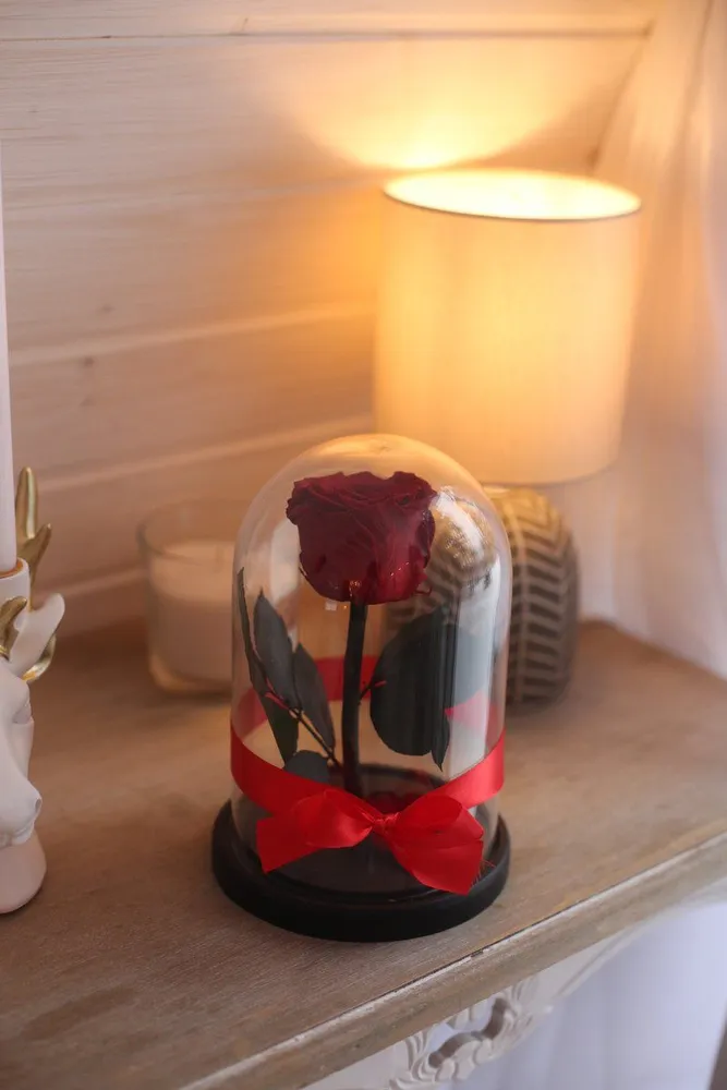 Стабилизированные цветы в стекле, Роза в колбе живая Glamur бордовый , GIFT4YOU, вариант, фото 2
