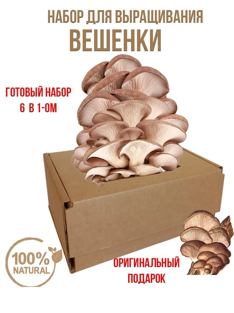 Simple Food Organic Набор для выращивания, вариант