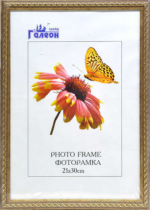 Фоторамка пластиковая 21 х 30 см, золотистая