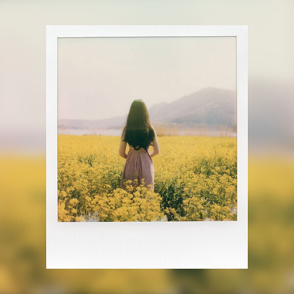 Цветная кассета для Полароид (Polaroid Color 600/636) - купить с ...