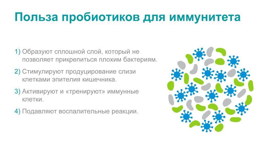 Польза представлена. Механизм действия пребиотиков. Пробиотики польза. Механизм действия пробиотиков. Пробиотики с иммунитетом для кишечника.