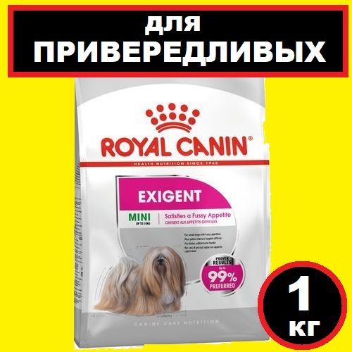 Royal canin hotsell mini exigent