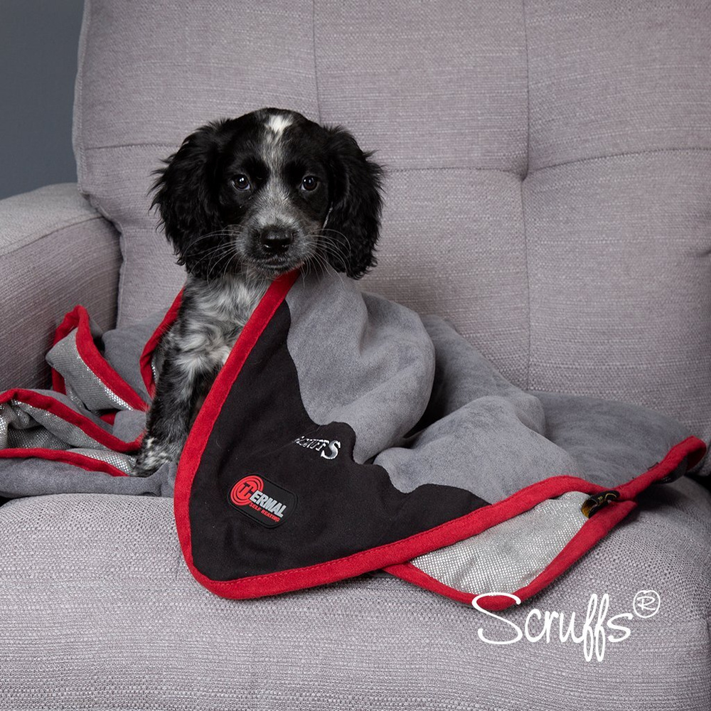 Scruffs pet sale blanket