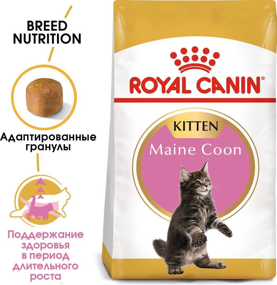 Royal Canin KITTEN MAINE COON (КИТТЕН МЕЙН-КУН) 10 кг.; код 25581000R0 ...