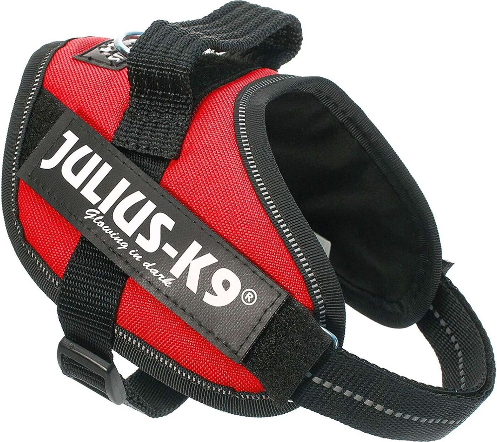 Julius k9 2024 power harness