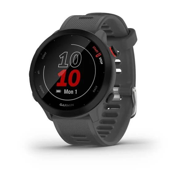 Смарт часы Garmin Forerunner 55, серый 010-02562-13 #1