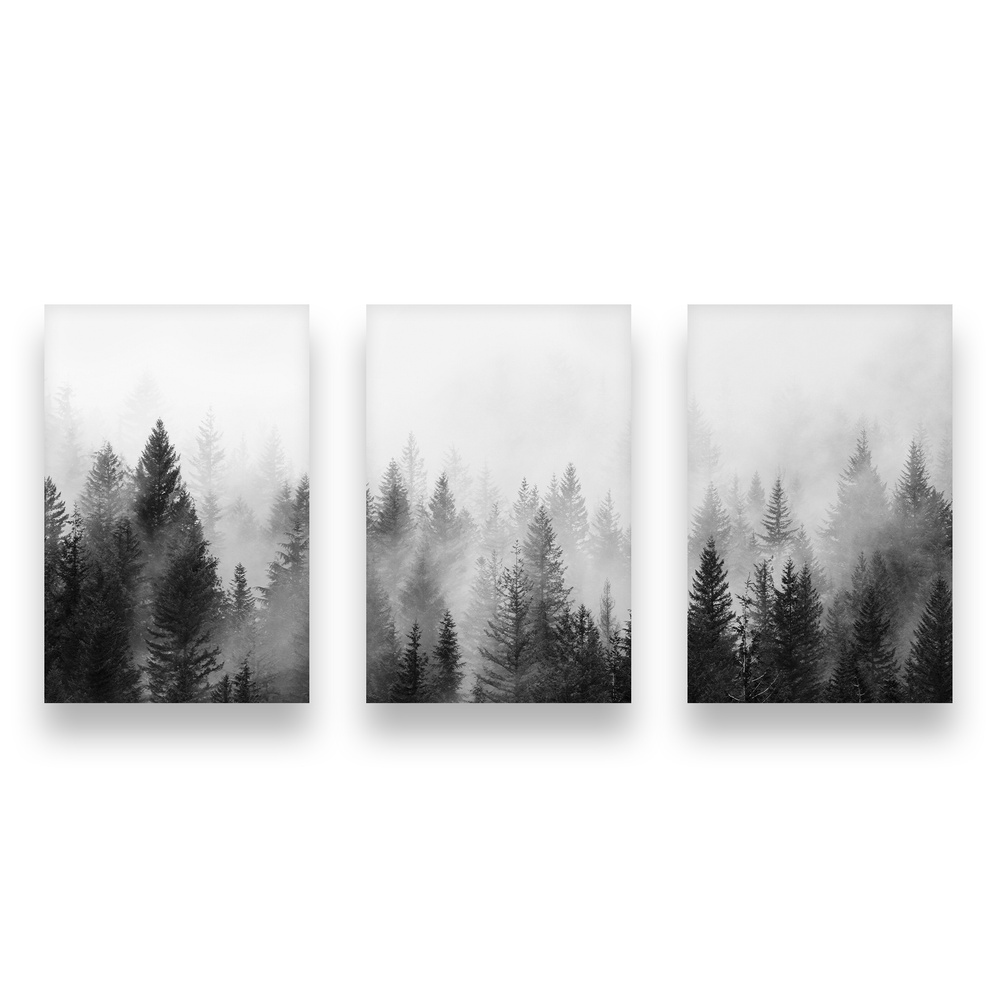 WallPrintStory Постер "Черно-белый лес", 40 см х 30 см #1