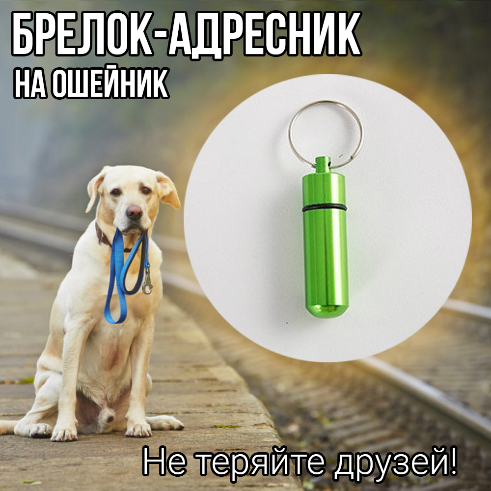 ZooHub / адресник для собак / адресник / адресник для кошки / подвеска на  ошейник / адресник для собак на ошейник / медальон / медальон открывающийся  ...