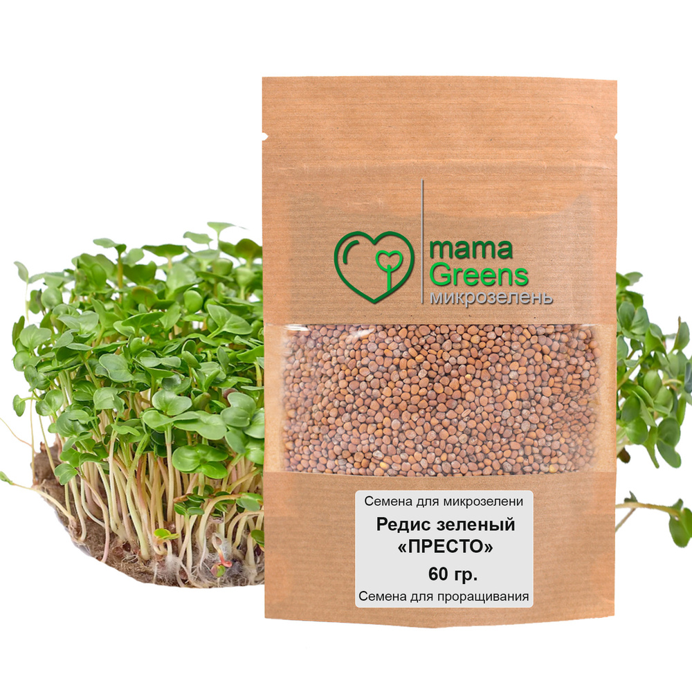 Семена Редис зеленый Престо 60 гр - весовые семена для выращивания микрозелени и проращивания в домашних #1