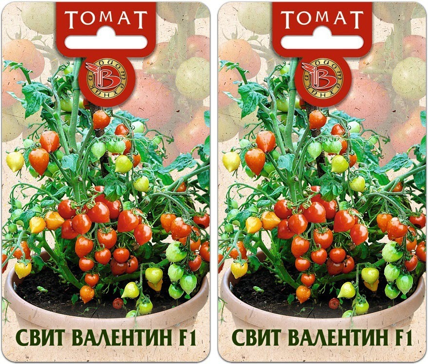 Томаты валентина описание фото