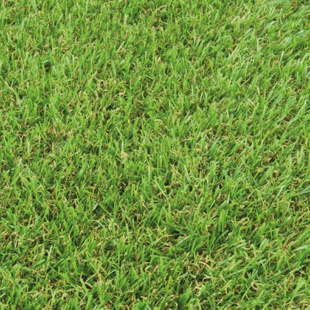   Premium grass  135  50  25        59125      -   