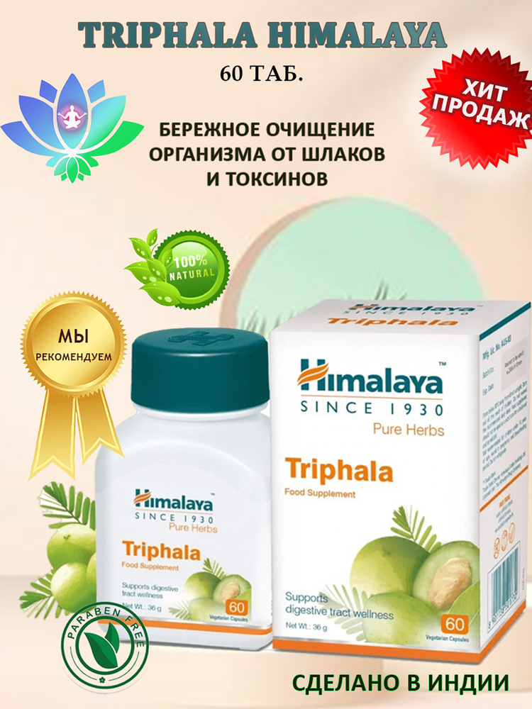 Азиялық жасөспірімдер порносын қараңыз Полицейді соққыға жыққан