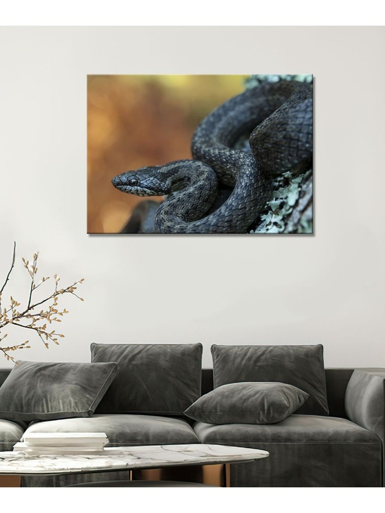 Картина на холсте с подрамником ХитАрт Змея; чёрная змея 80 50Х70 - купить  по низкой цене в интернет-магазине OZON (1190787766)