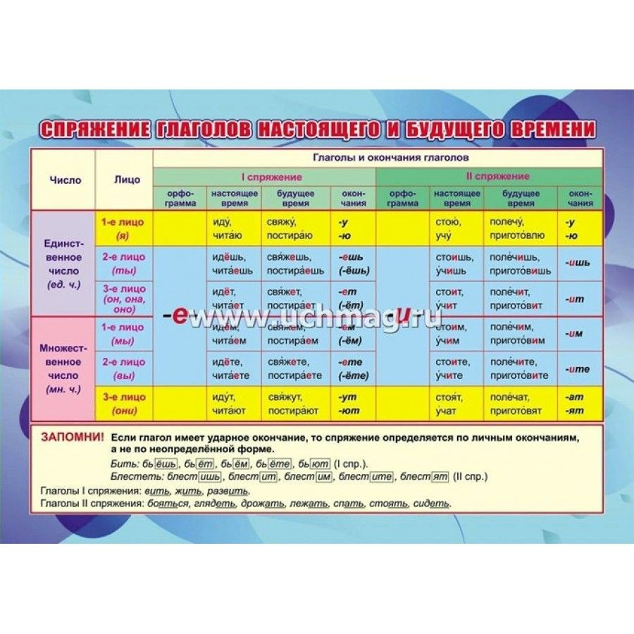 ФГОС. Спряжение глаголов настоящего и будущего времени/А4. Плакат. КПЛ-321.  - купить с доставкой по выгодным ценам в интернет-магазине OZON (700614156)
