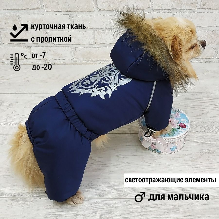 Одежда для Той-терьера цена – купить в Харькове, Киев, Одесса, Украина
