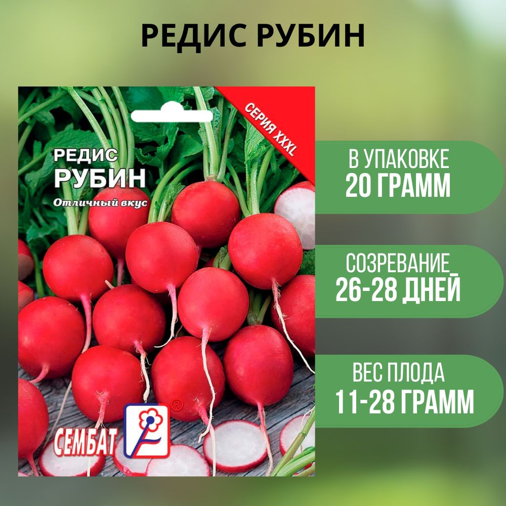 Редис рубин. Редис ранний красный 3 г сембат. редис рубин фото.