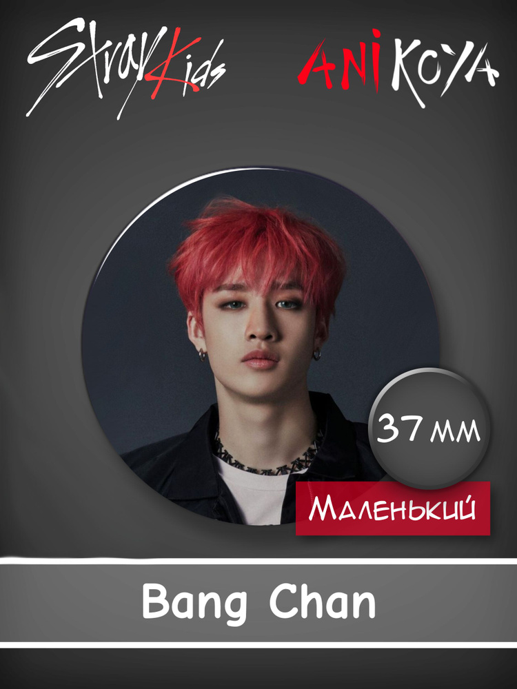 Значки к-pop Стрей Кидс / Stray Kids BangChan 37 мм AniKoya мерч #1