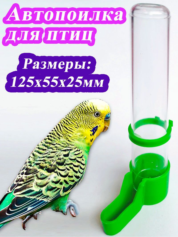 Поилка для попугаев #1