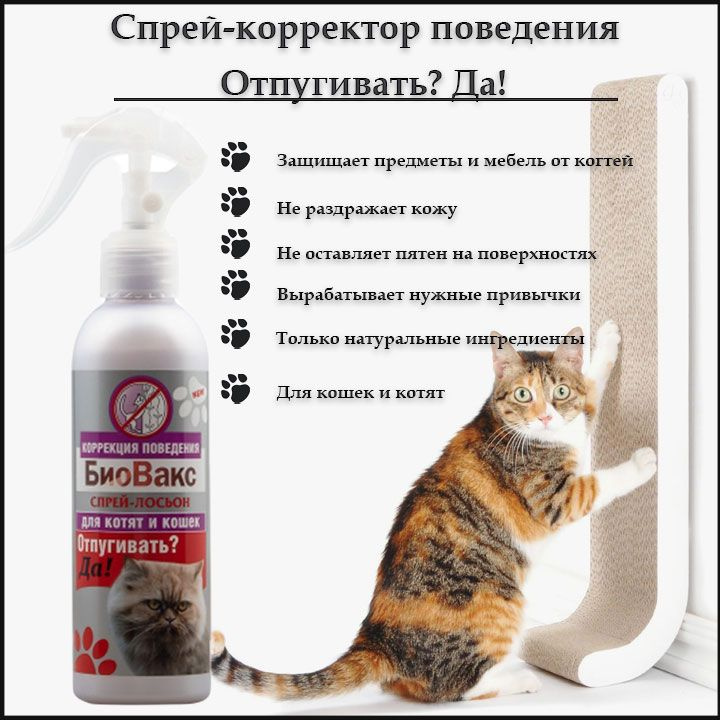 Отпугнуть кошку от мебели