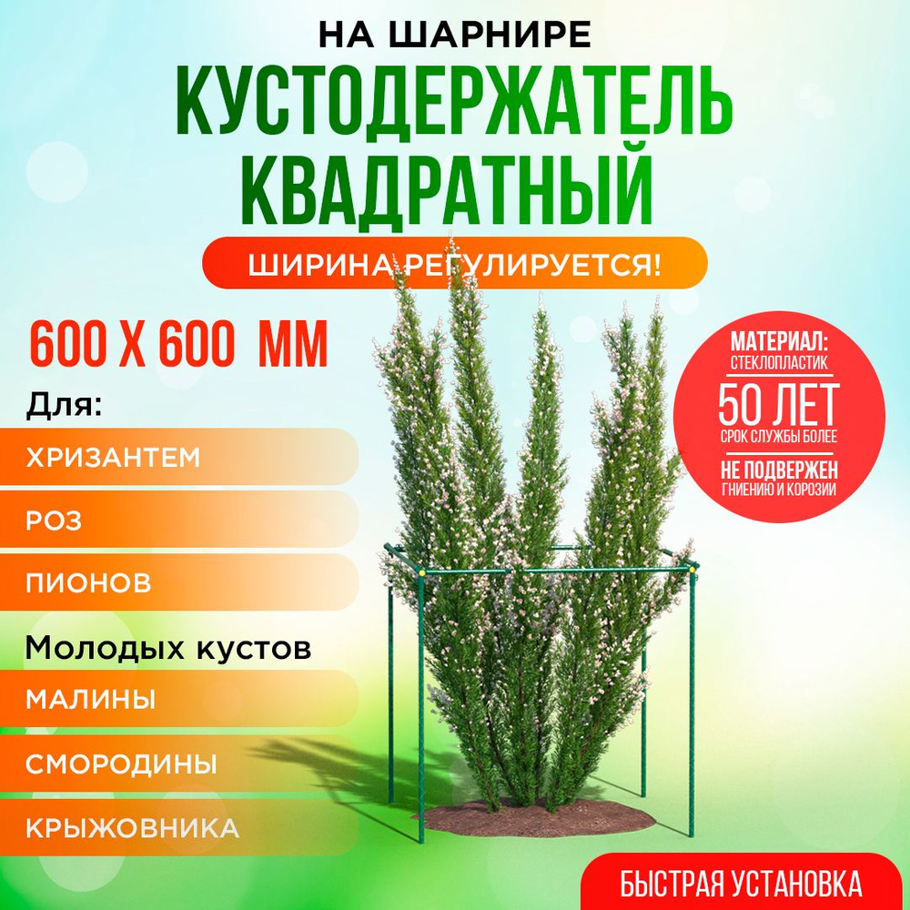 Кустодержатель для смородины 60х60 см, высота 60 см. надежная опора ...