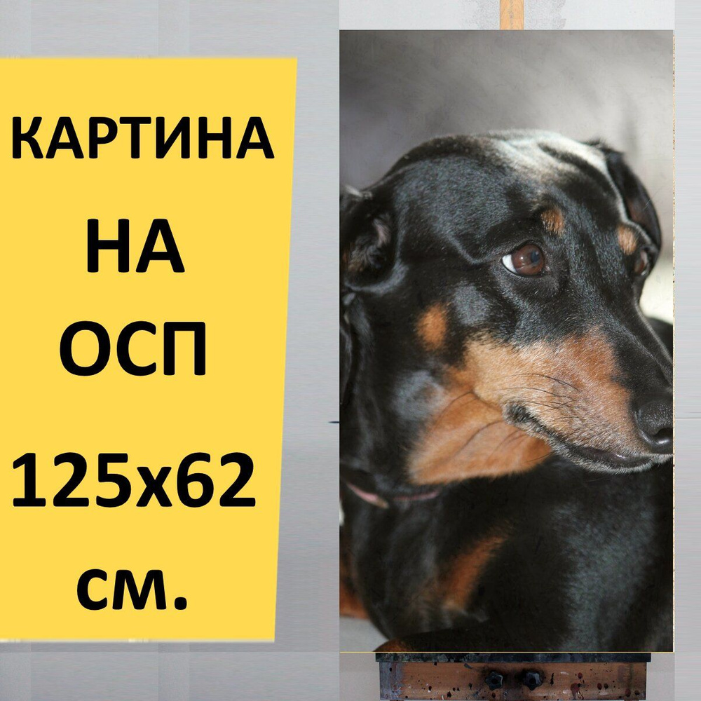 Картина Такса, собака, черный для интерьера на стену / Декор в дома,  спальню, на кухню, детскую комнату, 125 см х 62 см - купить по низкой цене  в интернет-магазине OZON (852725471)