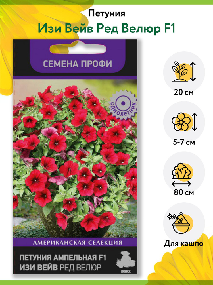 Семена Петунии - купить однолетние цветы в интернет-магазине с доставкой Почтой России