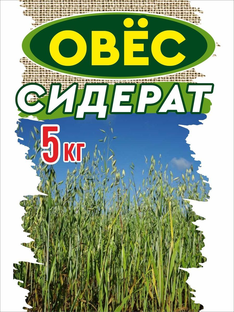 Овес для заваривания зерно, семена 5 кг. #1