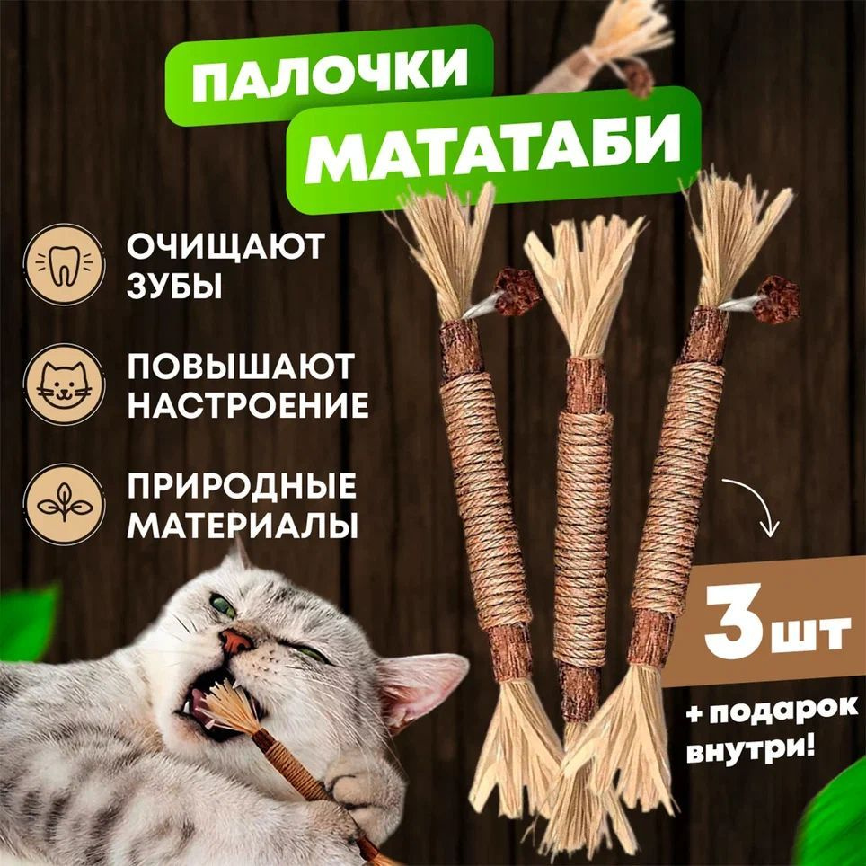 Игрушка для кошек, мататаби палочки, эффект кошачьей мяты, лакомства для  кошек - купить с доставкой по выгодным ценам в интернет-магазине OZON  (645327666)