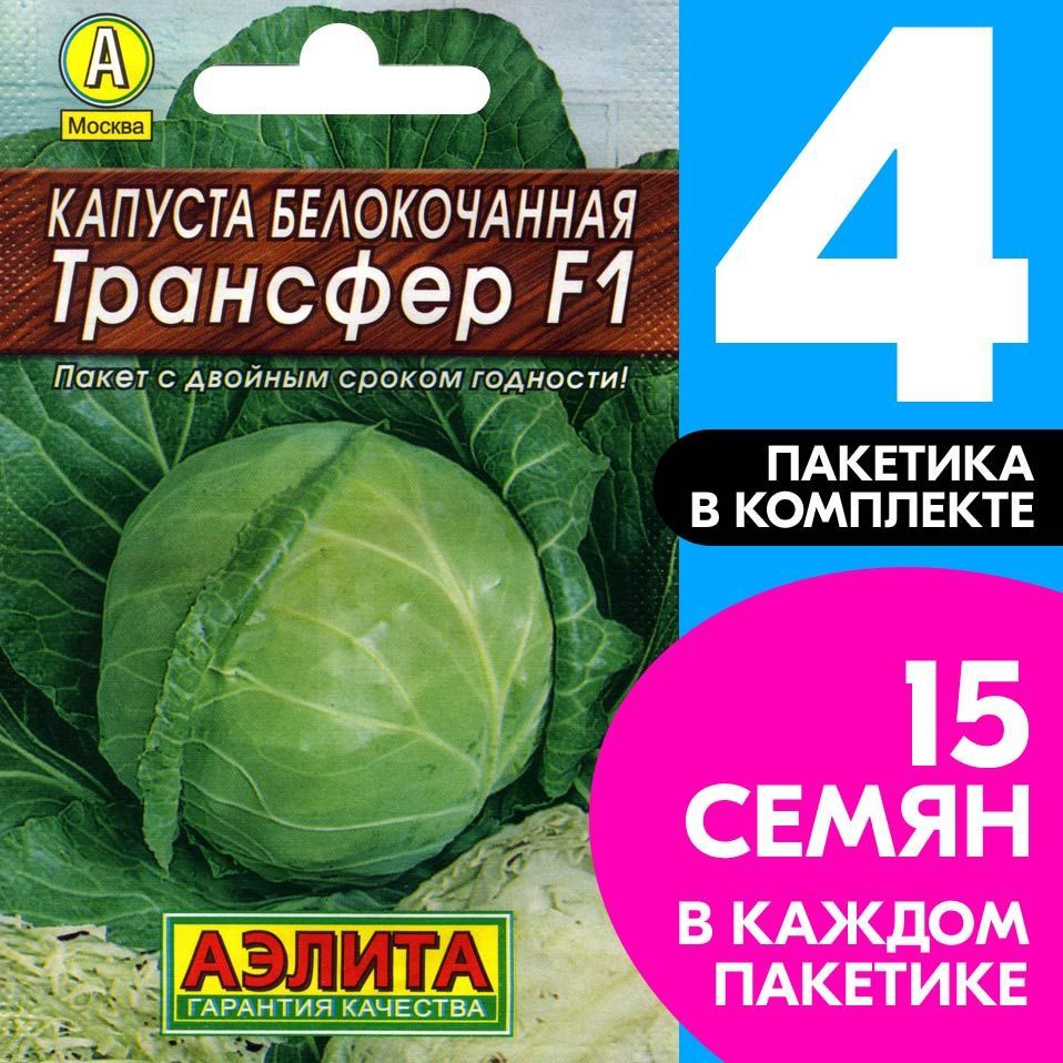 Семена Капуста белокочанная ультраскороспелая Трансфер F1, 4 пакетика по 0,1г/15шт  #1