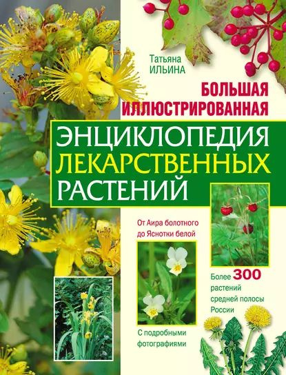 Большая иллюстрированная энциклопедия лекарственных растений | Ильина Татьяна Александровна | Электронная #1