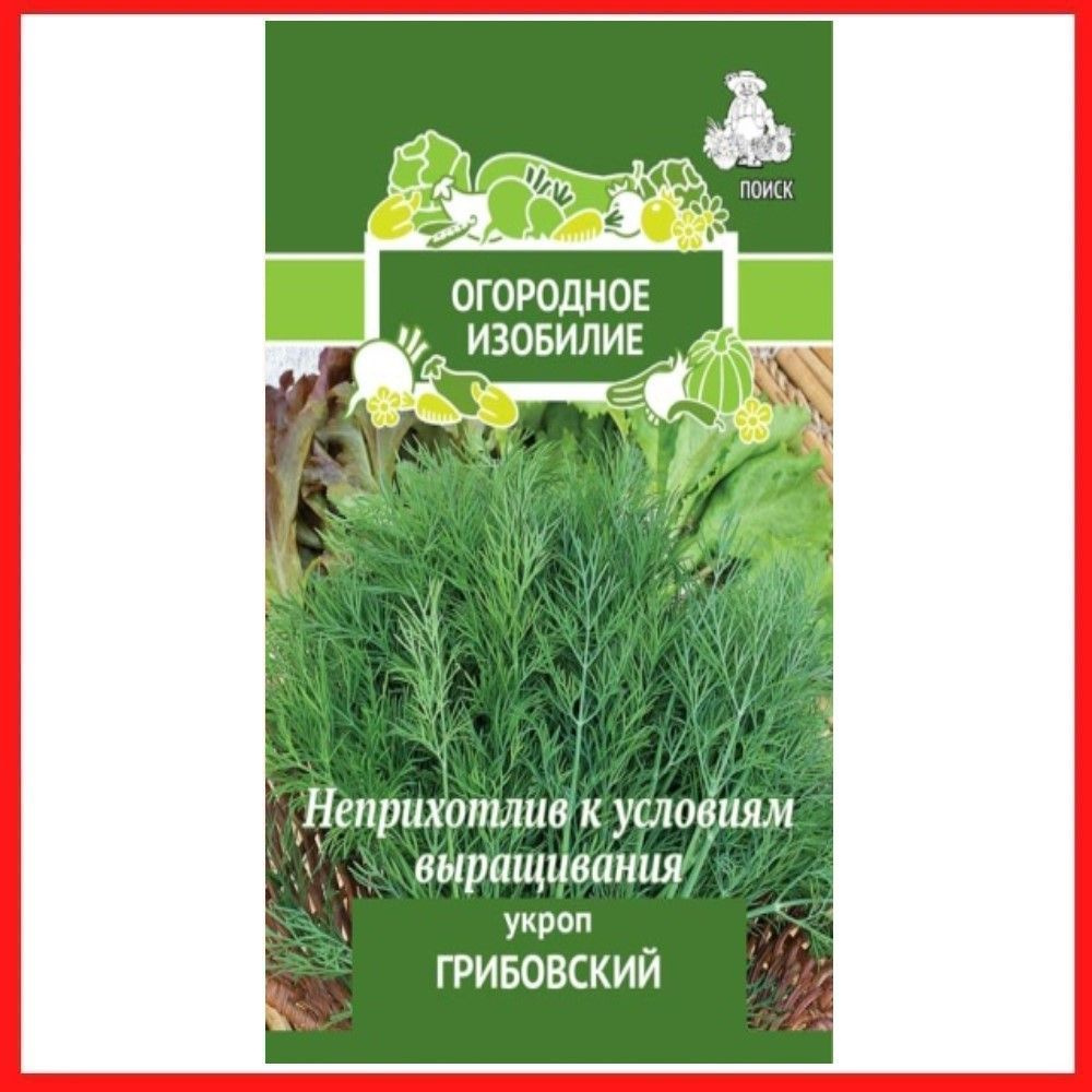 Семена Укроп "Грибовский", 3 гр, пряности и зелень, для дома, дачи и огорода, в открытый грунт, в контейнер. #1