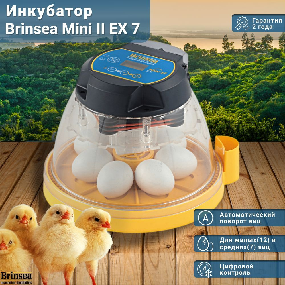 Инкубатор Brinsea Mini II EX 7 автоматический для яиц, для кур и птиц,  контроль температуры и влажности, прозрачный корпус