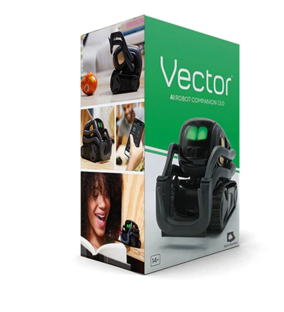 Buy store vector anki