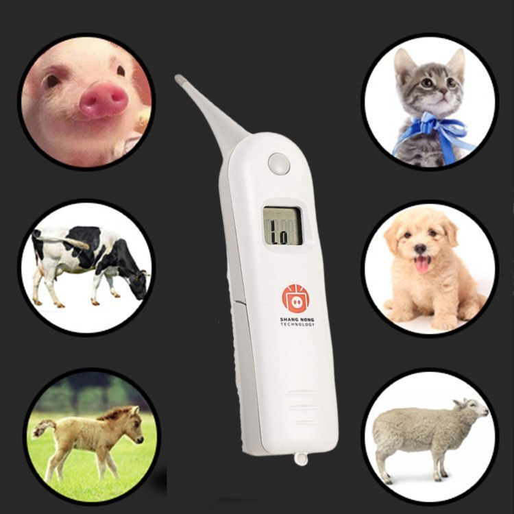 Термометр ветеринарный электронный - купить с доставкой по выгодным ценам в  интернет-магазине OZON (1163396589)