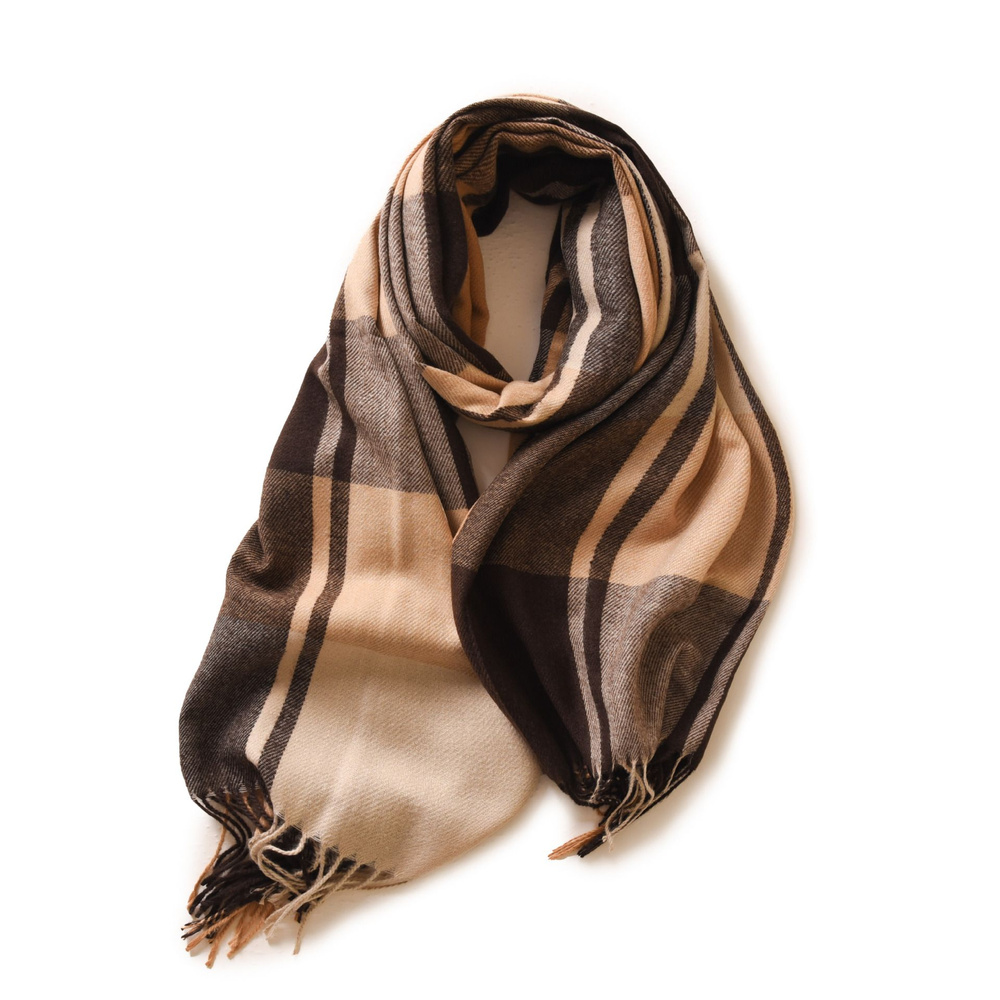 Burberry deals ombre scarf