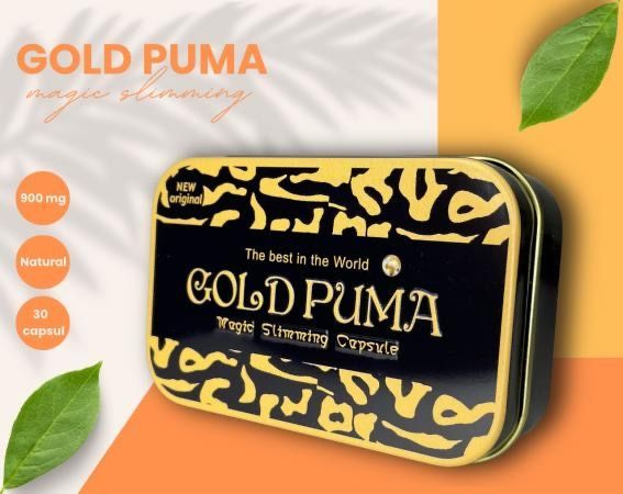 Puma gold best sale